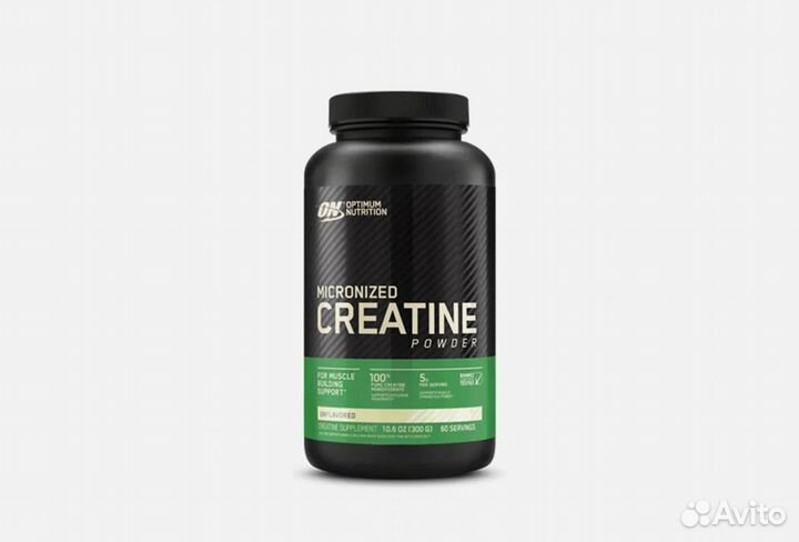 Optimum nutrition micronized creatine powder 300
