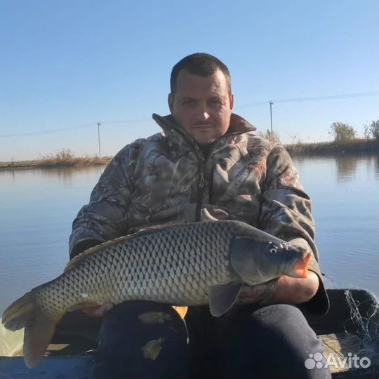 Платная рыбалка