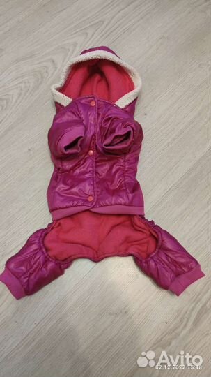 Комбинезоны для Джек Рассела или небольшой собаки