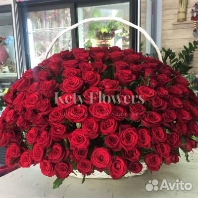 Розы Цветы 25 51 151 201 101 301 501 опт