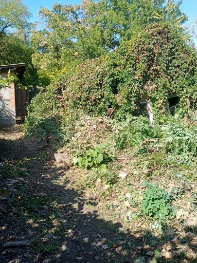 Дом 15 м² на участке 1,6 сот.