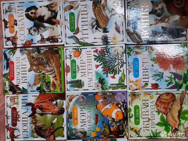 Книги энциклопедии для детей