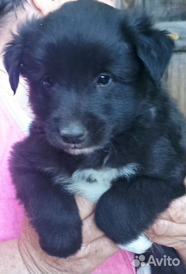 Брутальные мальчишки и лапочка девочка