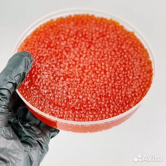 Кета,Кижуч,Горбуша,Нерка (Камчатская) Премиум