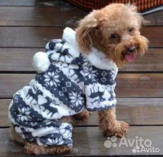 Одежда для собак и кошек с доставкой