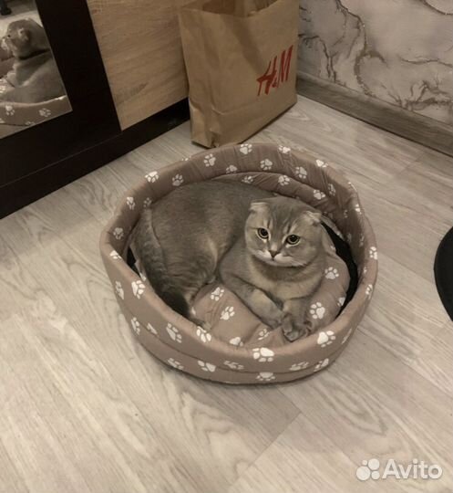 Лежанка, лежанка-карман