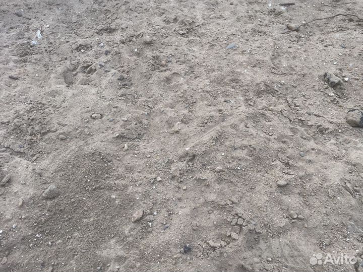 Приму грунт