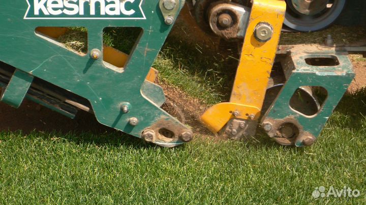 Рулонный Газон