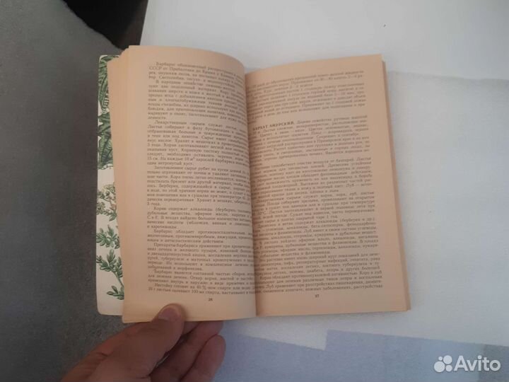 Лекарственные растения. Использование в народной