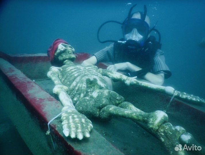 Индивидуальные экскурсии по Сочи и Абхазии