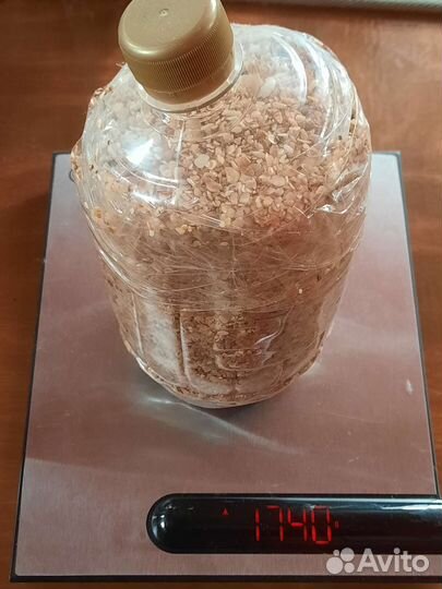 Песок крупный, ракушки для творчества и аквариума