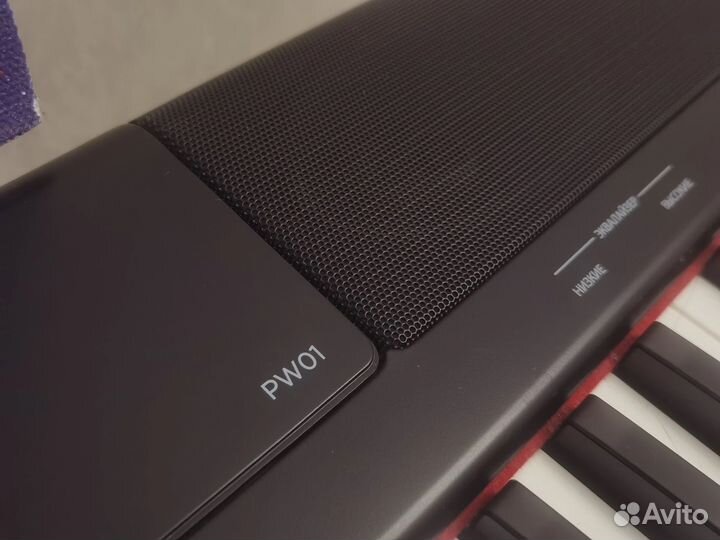 Цифровое фортепиано Denn PRO PW01