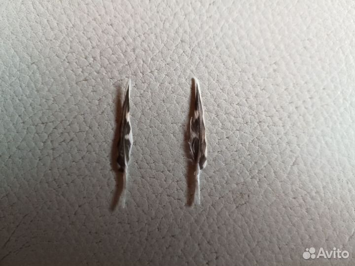 Перо вальдшнепа