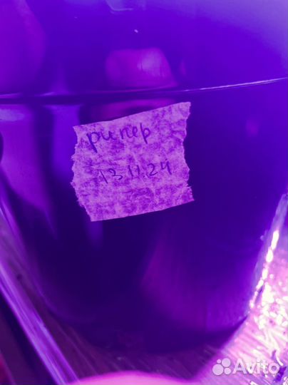 Перец острый каролина