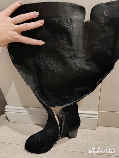 Сапоги женские зимние натуральная замша