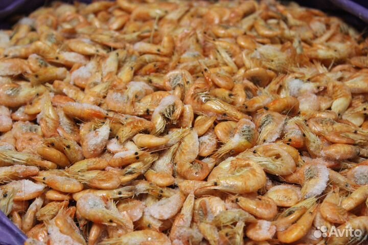 Креветка азовская малого размера