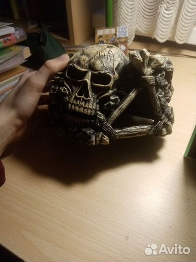 Комплект для гекона эублефара