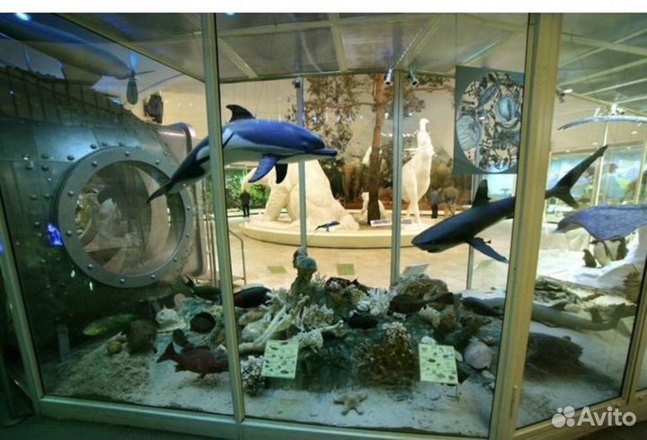 Билеты в Государственный Дарвиновский музей Москва