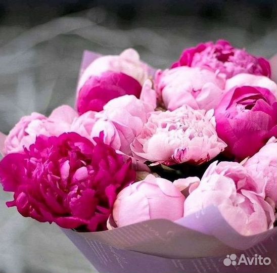 Пионы Букет пионов