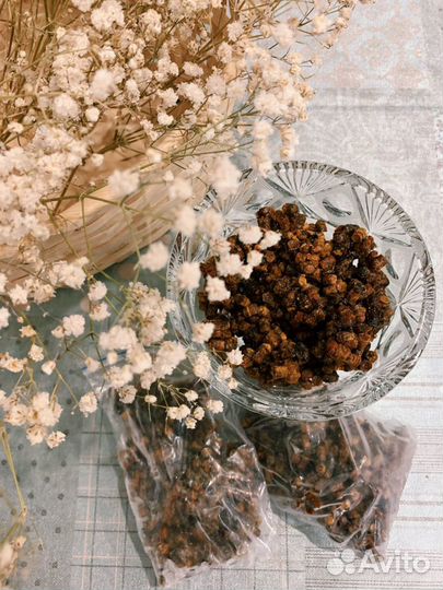 Мёд, мёд в сотах, прополис, перга, пыльца