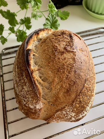 Хлеб на закваске: обучение + закваска