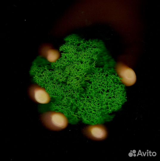 Стабилизированный ягель от производителя, Зелёное