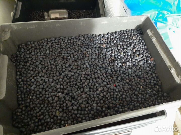 Черника сладкая и спелая с бесплатной доставкой