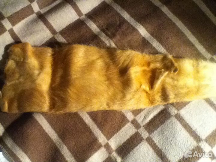 Шкурка золотистой нутрии