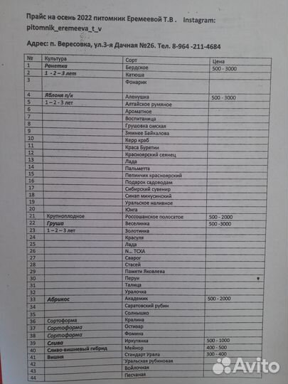 Саженцы собственного выращивания