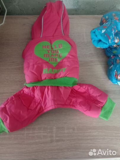 Вещи для мелких собак