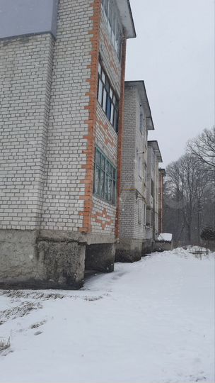 Аукцион: 1-к. квартира, 39,6 м², 2/3 эт.