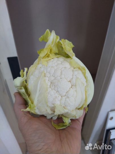 Цветная капуста