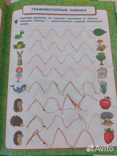 Жукова. Полный годовой курс 3-4 года