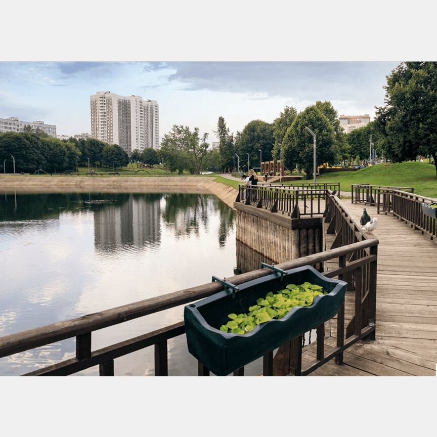 Квартира-студия, 21,5 м², 21/23 эт.