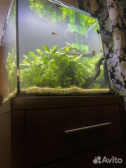 Аквариум с тумбой