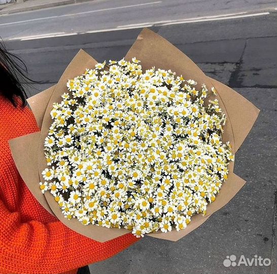 Цветы ромашки. Букеты ромашек. Цветы доставка