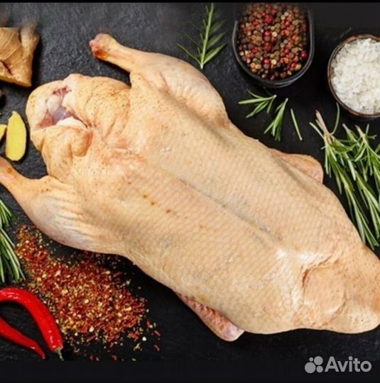 Гусь домашние мясо