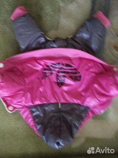 Одежда на маленькую собачку