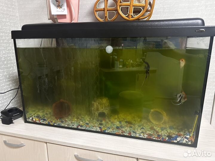 Аквариум