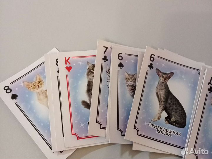 Игральные карты,с породами кошек со всего мира