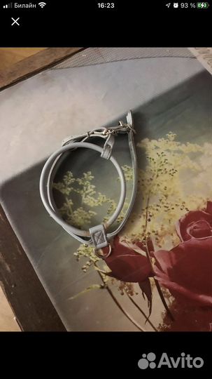 Шлейка для померанского шпица (голубого цвета)