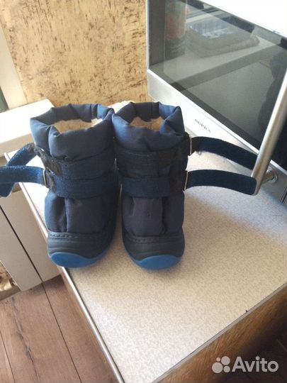 Котофей, зимние сноубудсы