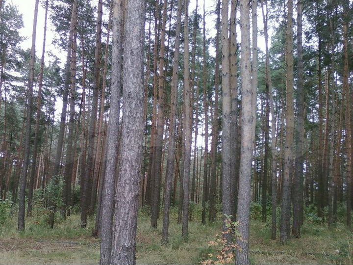 Дача 61 м² на участке 6 сот.