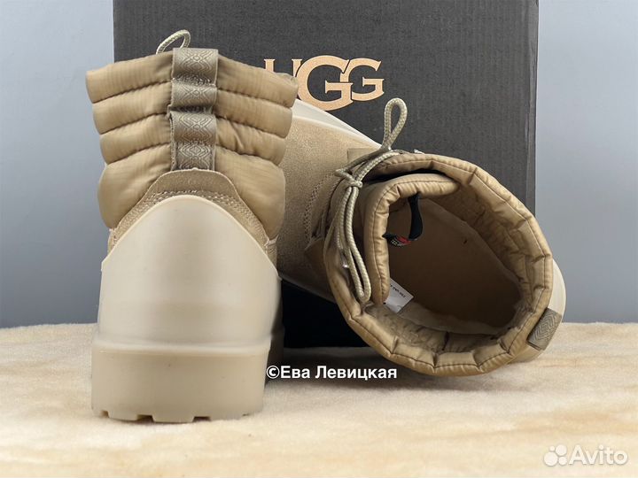 Угги мужские Ugg Mens Classic Mini Lace-Up Dune