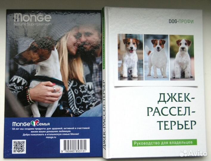 Джек Рассел терьер. 2021г