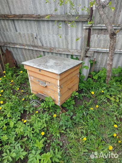 Улей для пчел