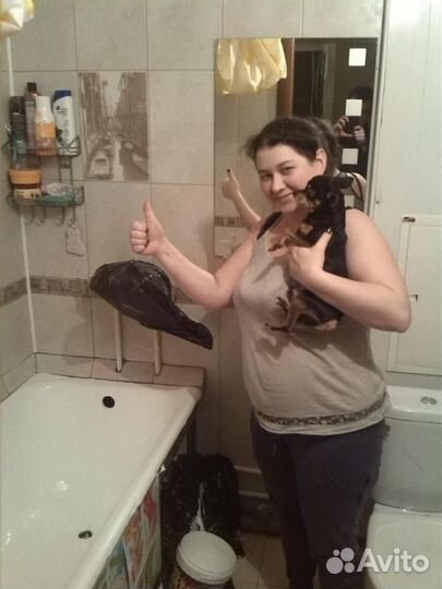 Мастер на час, Электрик. Сантехник, Отделоник