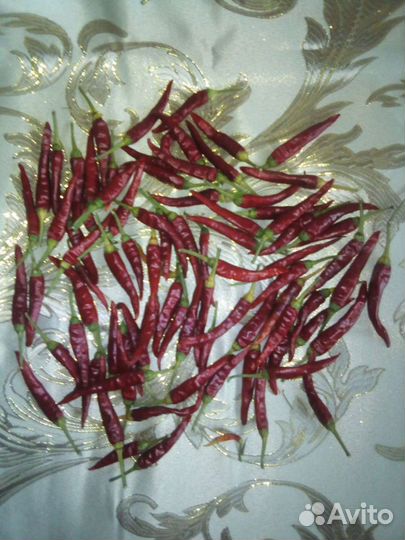 Перец очень жгучий итальянский подходит для засолк