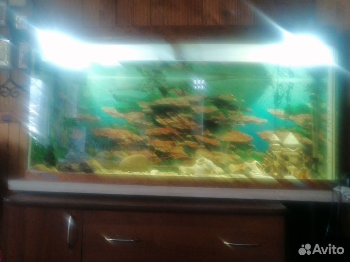 Аквариум