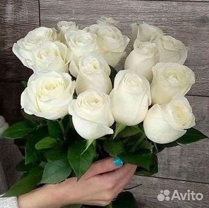 Высокие Высокие розы Гигантские розы Букеты Достав